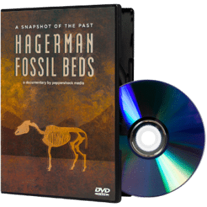 20140814-Hagerman-00181.png