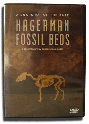 Hagerman_DVD.png