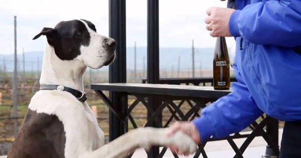 Idaho-Wine-Documentary-006.jpg