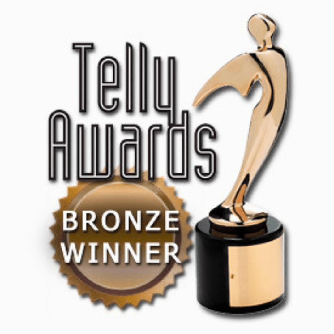 Copy of People's Telly 45 Share Assets (1x1) (2) Bronze-telly-awards